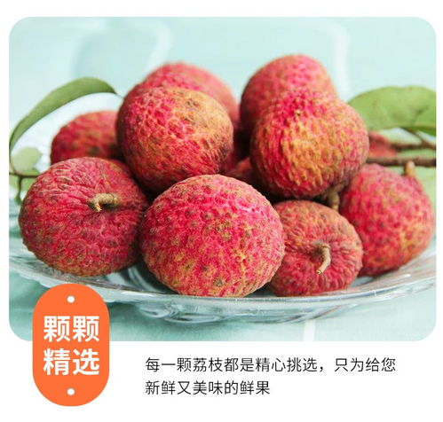 高州白糖罌荔枝 當(dāng)季鮮果，滋味直達(dá)——5斤裝整箱批發(fā)品鑒